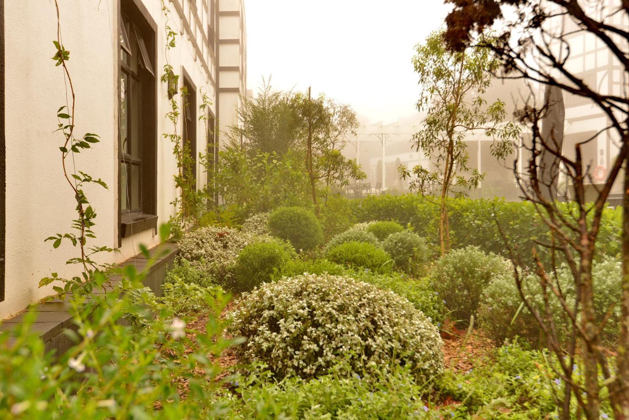 Anew Hotel Hilton Pietermaritzburg מראה חיצוני תמונה